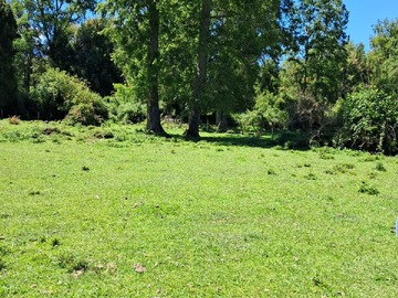 Venta / Terreno Agricola / Futrono