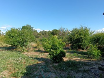 Venta / Terreno Agricola / Gorbea