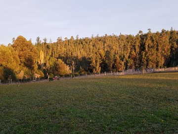 Venta / Terreno Agricola / Gorbea