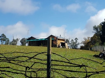 Imagen 9