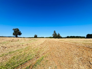 Venta / Terreno Agricola / Gorbea