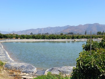 Venta / Terreno Agricola / Hijuelas