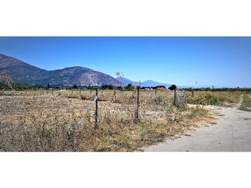 Venta / Terreno Agricola / Hijuelas