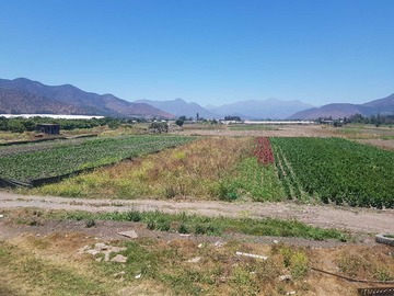 Venta / Terreno Agricola / Hijuelas