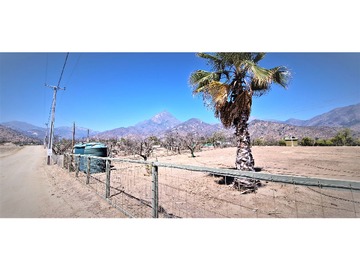 Venta / Terreno Agricola / Hijuelas