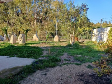 Venta / Terreno Agricola / Hijuelas