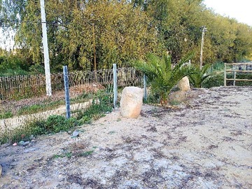 Imagen 3