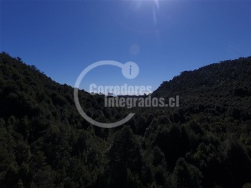 Imagen 8