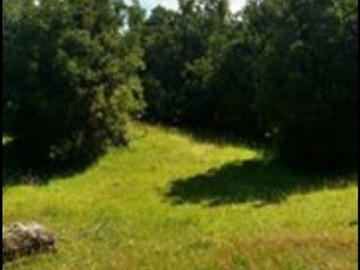 Venta / Terreno Agricola / Hualaihué