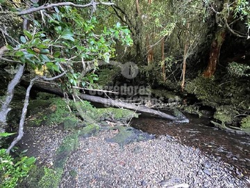 Venta / Terreno Agricola / Hualaihué
