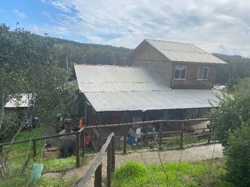 Venta / Terreno Agricola / Hualañé