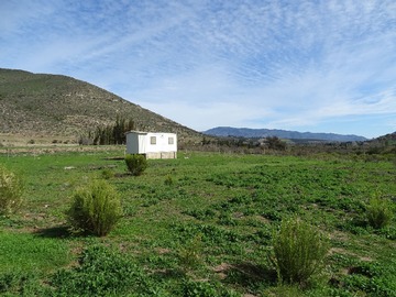 Imagen 4