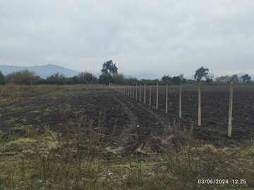 Venta / Terreno Agricola / Isla de Maipo