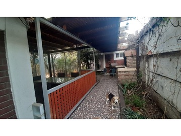 Imagen 8