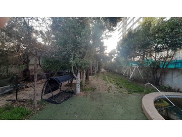 Imagen 5