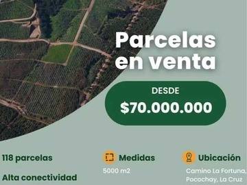 Imagen 13