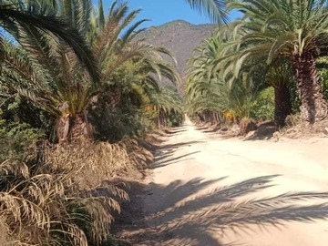 Imagen 5