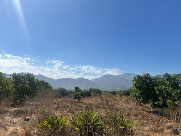 Venta / Terreno Agricola / La Cruz