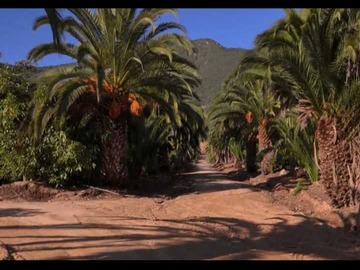 Imagen 6