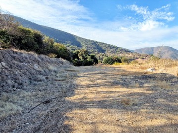 Imagen 10