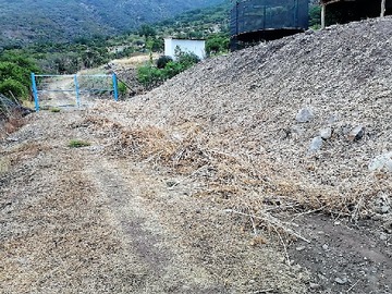 Imagen 23