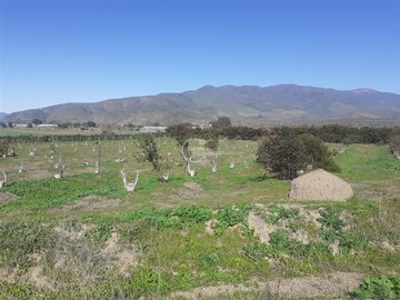 Imagen 9