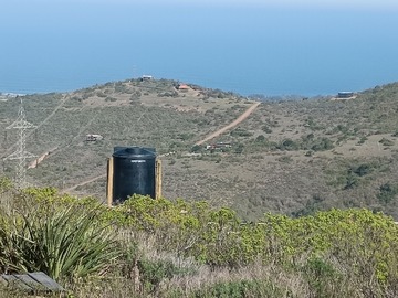 Venta / Terreno Agricola / La Ligua