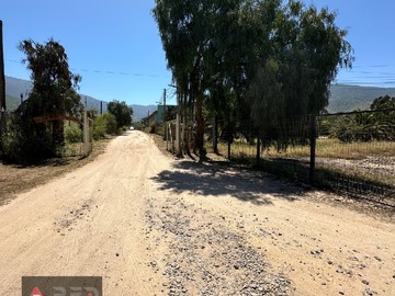 Venta / Terreno Agricola / La Ligua