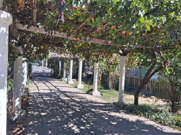 Imagen 8