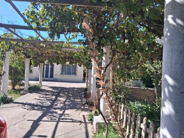Venta / Terreno Agricola / La Pintana
