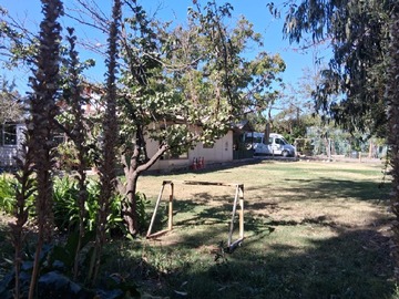 Imagen 6