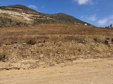 Venta / Terreno Agricola / La Serena