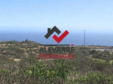 Venta / Terreno Agricola / La Serena