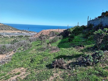 Venta / Terreno Agricola / La Serena