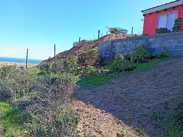 Venta / Terreno Agricola / La Serena