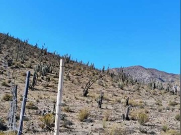 Venta / Terreno Agricola / La Serena