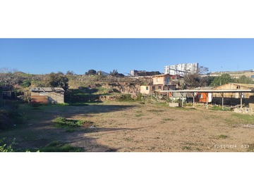 Imagen 11