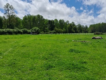 Venta / Terreno Agricola / La Unión