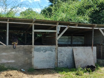 Imagen 32