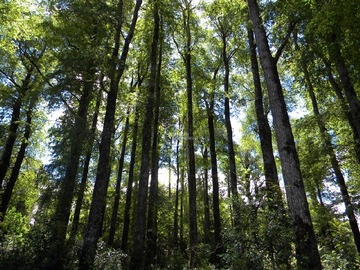 Venta / Terreno Agricola / La Unión