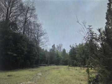 Venta / Terreno Agricola / La Unión