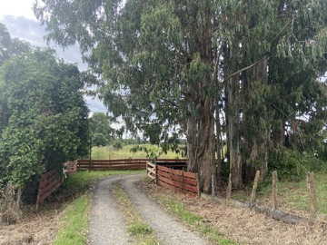 Venta / Terreno Agricola / La Unión