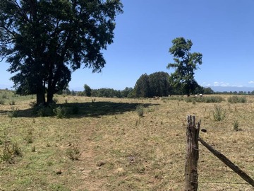 Venta / Terreno Agricola / Lago Ranco