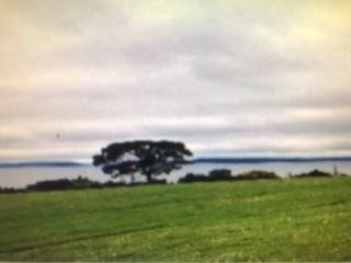 Venta / Terreno Agricola / Lago Ranco