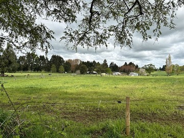 Venta / Terreno Agricola / Lago Ranco