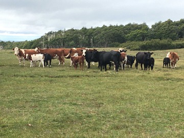 Venta / Terreno Agricola / Lago Verde