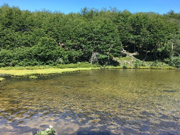 Venta / Terreno Agricola / Lago Verde