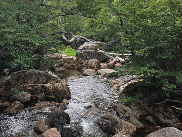 Venta / Terreno Agricola / Lago Verde
