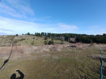 Venta / Terreno Agricola / Laja