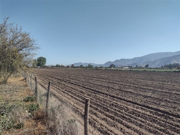 Imagen 5